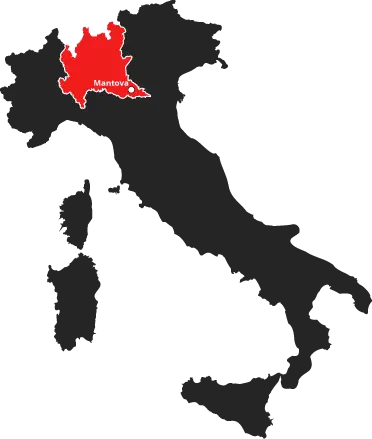 Consulenza aziendale Mantova
