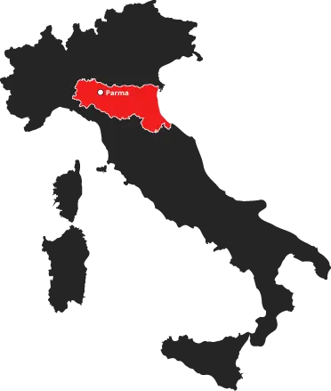Consulenza aziendale Parma