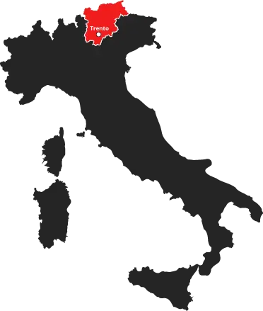 Consulenza aziendale Trento