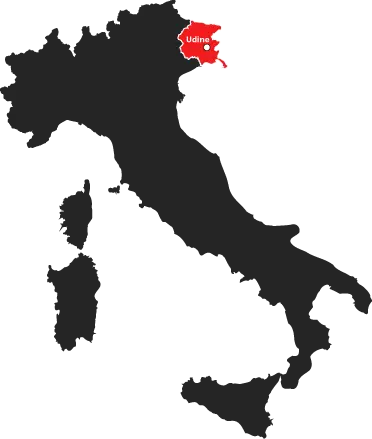 Consulenza aziendale Udine