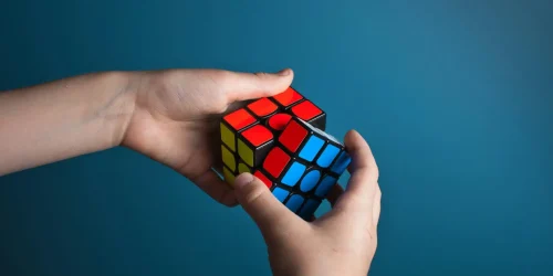 problem solving significato